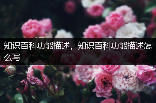 知识百科功能描述，知识百科功能描述怎么写