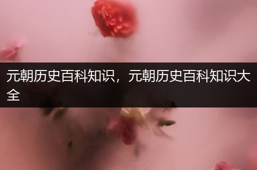元朝历史百科知识，元朝历史百科知识大全