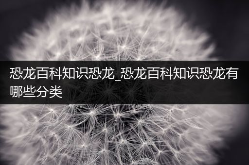 恐龙百科知识恐龙_恐龙百科知识恐龙有哪些分类