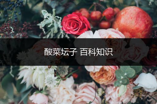 酸菜坛子 百科知识