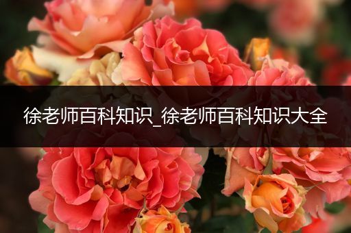 徐老师百科知识_徐老师百科知识大全