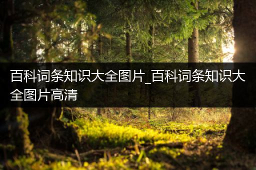 百科词条知识大全图片_百科词条知识大全图片高清