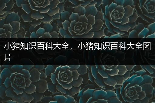 小猪知识百科大全，小猪知识百科大全图片