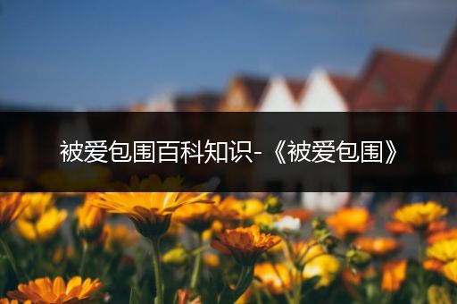 被爱包围百科知识-《被爱包围》