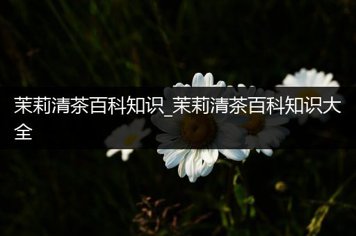 茉莉清茶百科知识_茉莉清茶百科知识大全