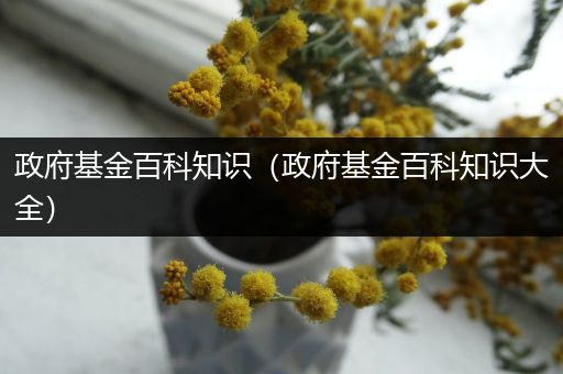 政府基金百科知识（政府基金百科知识大全）