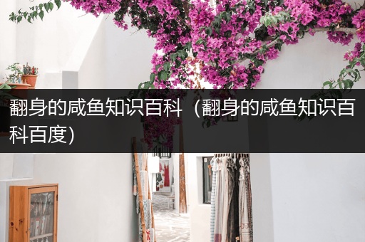 翻身的咸鱼知识百科（翻身的咸鱼知识百科百度）
