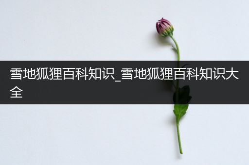 雪地狐狸百科知识_雪地狐狸百科知识大全