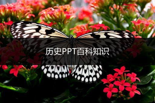 历史PPT百科知识
