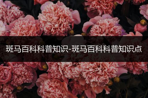 斑马百科科普知识-斑马百科科普知识点