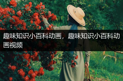 趣味知识小百科动画，趣味知识小百科动画视频