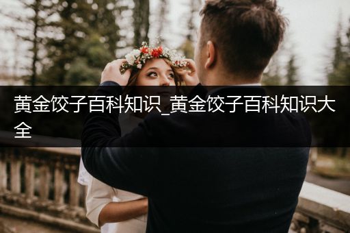 黄金饺子百科知识_黄金饺子百科知识大全