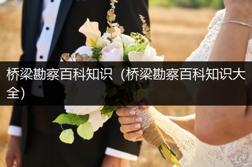 桥梁勘察百科知识（桥梁勘察百科知识大全）