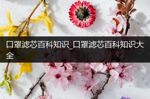 口罩滤芯百科知识_口罩滤芯百科知识大全