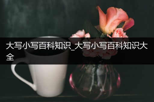 大写小写百科知识_大写小写百科知识大全