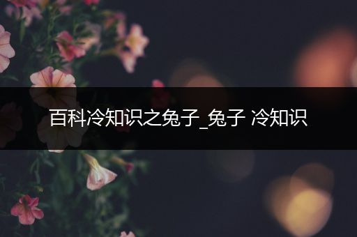 百科冷知识之兔子_兔子 冷知识