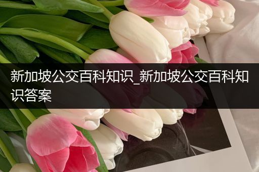 新加坡公交百科知识_新加坡公交百科知识答案