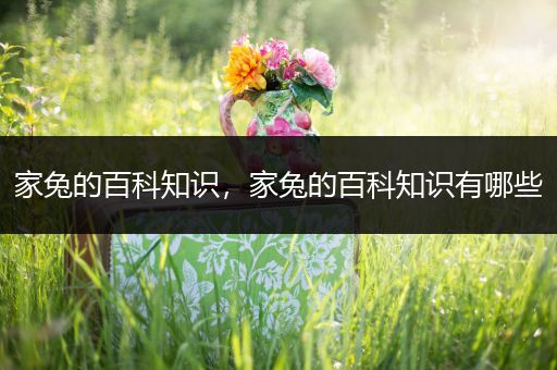 家兔的百科知识，家兔的百科知识有哪些