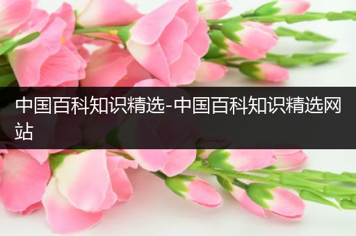 中国百科知识精选-中国百科知识精选网站