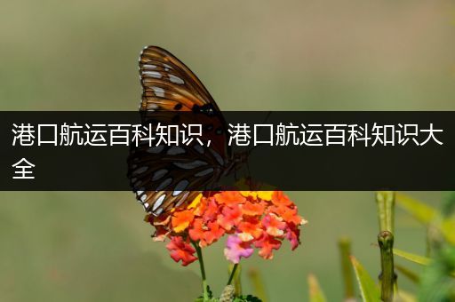 港口航运百科知识，港口航运百科知识大全