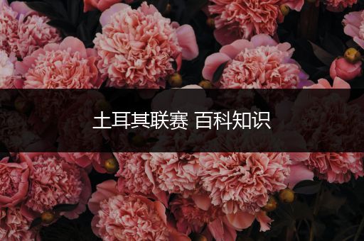 土耳其联赛 百科知识