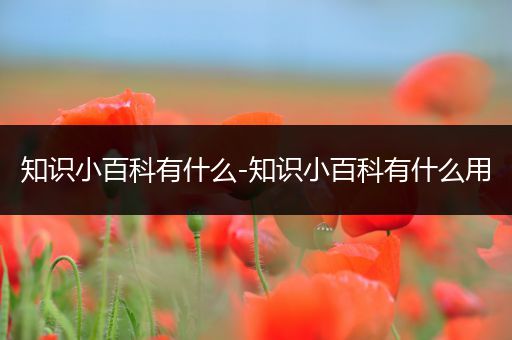 知识小百科有什么-知识小百科有什么用