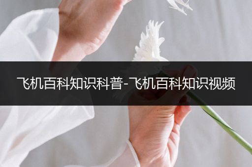 飞机百科知识科普-飞机百科知识视频