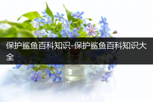 保护鲨鱼百科知识-保护鲨鱼百科知识大全