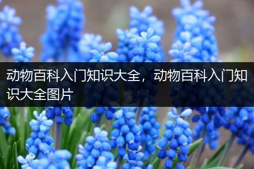 动物百科入门知识大全，动物百科入门知识大全图片