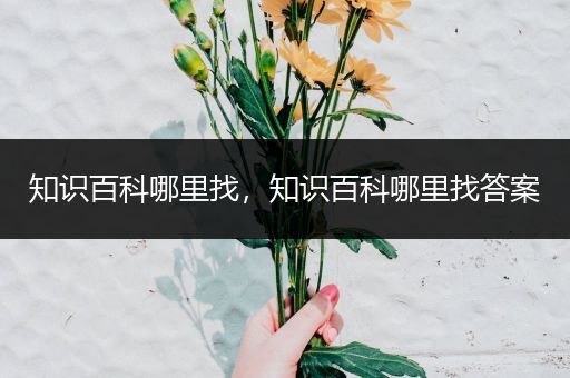 知识百科哪里找，知识百科哪里找答案