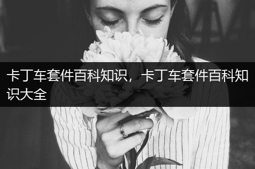 卡丁车套件百科知识，卡丁车套件百科知识大全