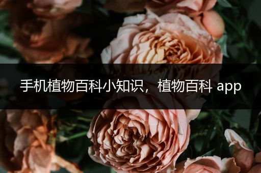手机植物百科小知识，植物百科 app