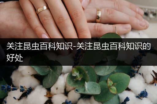 关注昆虫百科知识-关注昆虫百科知识的好处