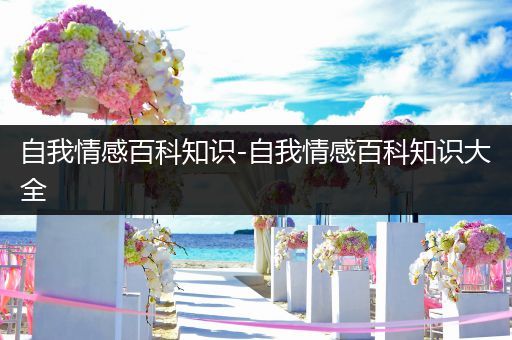 自我情感百科知识-自我情感百科知识大全