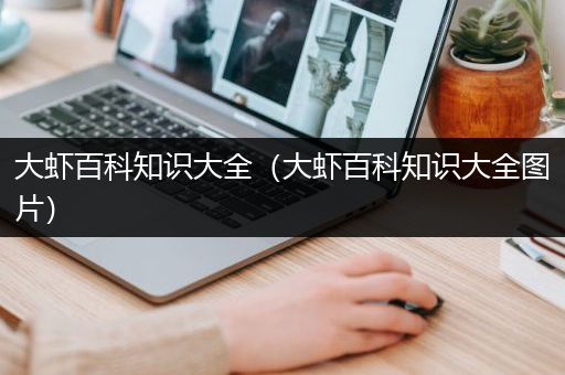 大虾百科知识大全（大虾百科知识大全图片）