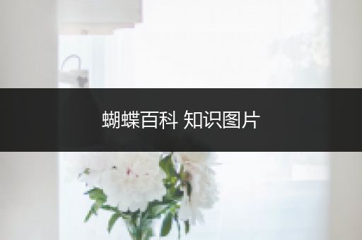 蝴蝶百科 知识图片