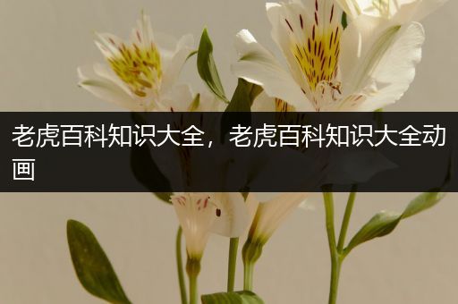 老虎百科知识大全，老虎百科知识大全动画