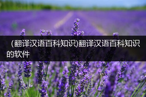 （翻译汉语百科知识)翻译汉语百科知识的软件