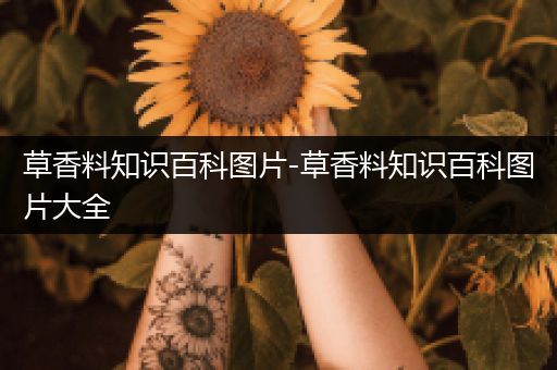 草香料知识百科图片-草香料知识百科图片大全