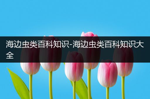 海边虫类百科知识-海边虫类百科知识大全