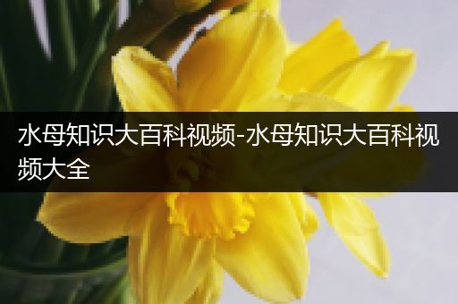 水母知识大百科视频-水母知识大百科视频大全