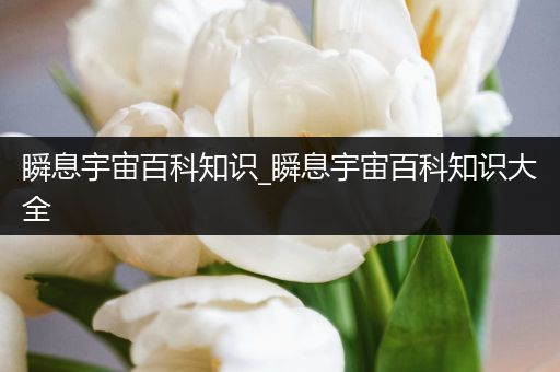 瞬息宇宙百科知识_瞬息宇宙百科知识大全