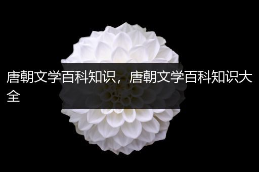 唐朝文学百科知识，唐朝文学百科知识大全