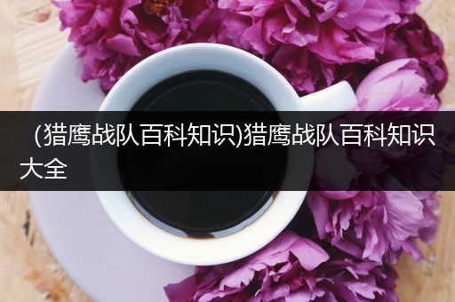 （猎鹰战队百科知识)猎鹰战队百科知识大全