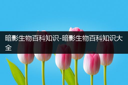 暗影生物百科知识-暗影生物百科知识大全