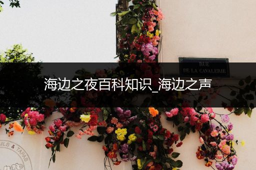 海边之夜百科知识_海边之声