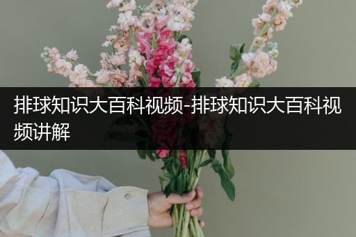 排球知识大百科视频-排球知识大百科视频讲解