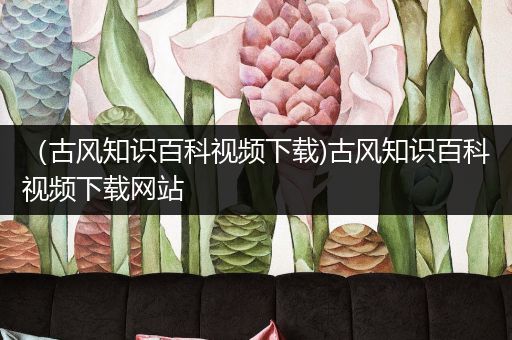 （古风知识百科视频下载)古风知识百科视频下载网站