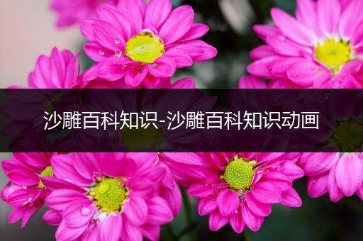 沙雕百科知识-沙雕百科知识动画
