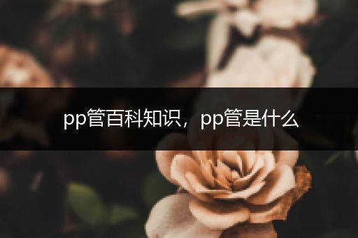 pp管百科知识，pp管是什么
